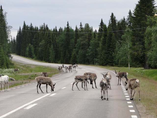 Schweden